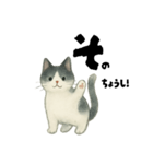【使いやすい】白黒ねこのやさしい日常（個別スタンプ：21）