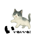 【使いやすい】白黒ねこのやさしい日常（個別スタンプ：23）
