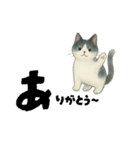 【使いやすい】白黒ねこのやさしい日常（個別スタンプ：24）