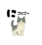 【使いやすい】白黒ねこのやさしい日常（個別スタンプ：25）