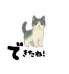 【使いやすい】白黒ねこのやさしい日常（個別スタンプ：28）