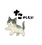 【使いやすい】白黒ねこのやさしい日常（個別スタンプ：30）