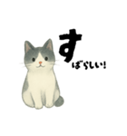 【使いやすい】白黒ねこのやさしい日常（個別スタンプ：34）