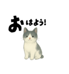 【使いやすい】白黒ねこのやさしい日常（個別スタンプ：36）