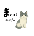 【使いやすい】白黒ねこのやさしい日常（個別スタンプ：37）