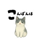 【使いやすい】白黒ねこのやさしい日常（個別スタンプ：38）