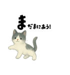 【使いやすい】白黒ねこのやさしい日常（個別スタンプ：40）