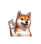 無言で伝える柴犬 健康体形です（個別スタンプ：11）