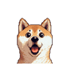 無言で伝える柴犬 健康体形です（個別スタンプ：26）