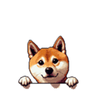 無言で伝える柴犬 健康体形です（個別スタンプ：32）