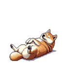 無言で伝える柴犬 健康体形です（個別スタンプ：35）