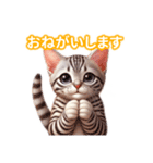 とにかくかわいい エジプシャン・マウ（個別スタンプ：14）