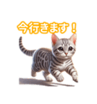 とにかくかわいい エジプシャン・マウ（個別スタンプ：17）