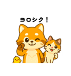 アライグマの日常で使えるスタンプ（個別スタンプ：21）