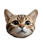 猫の顔だけ！（個別スタンプ：15）