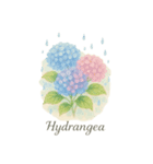 6月の花シリーズ（個別スタンプ：1）