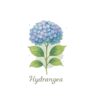 6月の花シリーズ（個別スタンプ：2）