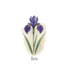 6月の花シリーズ（個別スタンプ：3）