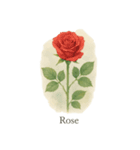 6月の花シリーズ（個別スタンプ：4）