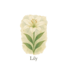 6月の花シリーズ（個別スタンプ：5）