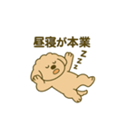 トイプードルkomugiダラダラ編（個別スタンプ：1）