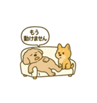 トイプードルkomugiダラダラ編（個別スタンプ：2）