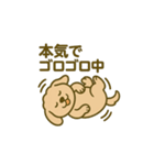 トイプードルkomugiダラダラ編（個別スタンプ：3）