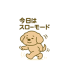 トイプードルkomugiダラダラ編（個別スタンプ：8）