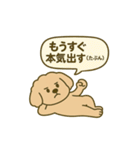 トイプードルkomugiダラダラ編（個別スタンプ：12）