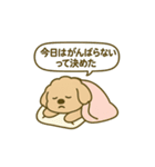 トイプードルkomugiダラダラ編（個別スタンプ：24）