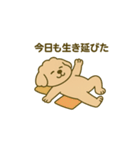 トイプードルkomugiダラダラ編（個別スタンプ：30）