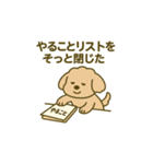 トイプードルkomugiダラダラ編（個別スタンプ：37）