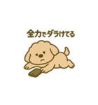 トイプードルkomugiダラダラ編（個別スタンプ：39）