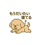 トイプードルkomugiダラダラ編（個別スタンプ：40）
