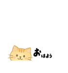 【ちいさめ】ネコのやさしい日常トーク（個別スタンプ：1）
