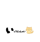 【ちいさめ】ネコのやさしい日常トーク（個別スタンプ：10）