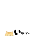 【ちいさめ】ネコのやさしい日常トーク（個別スタンプ：26）