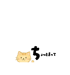 【ちいさめ】ネコのやさしい日常トーク（個別スタンプ：27）