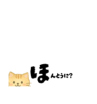 【ちいさめ】ネコのやさしい日常トーク（個別スタンプ：37）