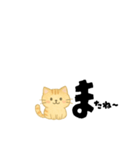 【ちいさめ】ネコのやさしい日常トーク（個別スタンプ：39）