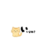 【ちいさめ】ネコのやさしい日常トーク（個別スタンプ：40）
