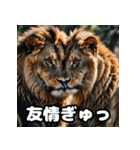 表情豊かなライオンが吠える！（個別スタンプ：33）