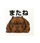 HYBRIDKENNEL ルフィ2（個別スタンプ：6）