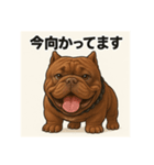 HYBRIDKENNEL ルフィ2（個別スタンプ：9）