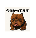 HYBRIDKENNEL ルフィ2（個別スタンプ：13）