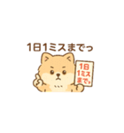 会計士試験 答練A判定 ポメラニアン（個別スタンプ：10）
