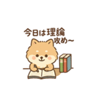 会計士試験 答練A判定 ポメラニアン（個別スタンプ：18）