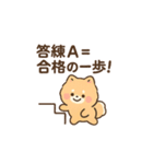 会計士試験 答練A判定 ポメラニアン（個別スタンプ：29）