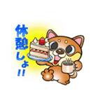 柴犬と一緒の時間 Part2（個別スタンプ：3）