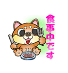 柴犬と一緒の時間 Part2（個別スタンプ：4）